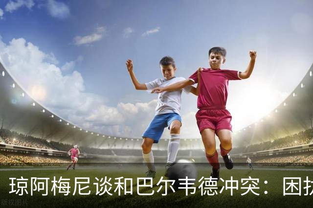 琼阿梅尼谈和巴尔韦德冲突：困扰我的是虚假报道，我们之间没问题